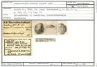 Karteikarte zum Lectotyp von Truncatulina horrida Karrer, 1870
